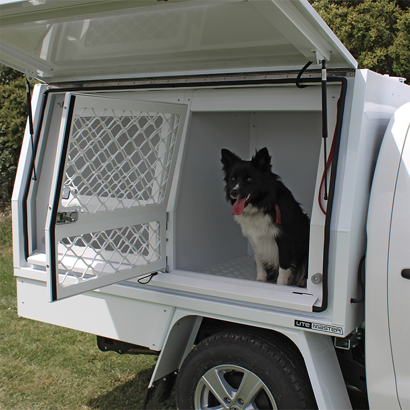 Animal Management Solutions